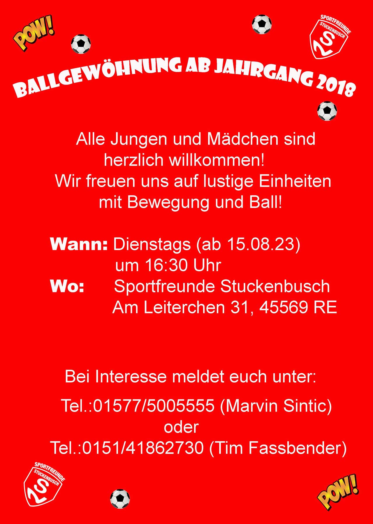 Ballgewöhnung Plakat